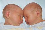 Mamince Ivě Gaudesové z Litoměřic se v litoměřické porodnici 29. května ve 13.35 narodila dvojčata Hana Gaudesová (47 cm, 2,8 kg) a Henry Gaudes (48 cm, 2,5 kg).   Blahopřejeme!