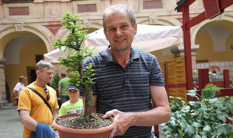 Tradiční letní výstava bonsají bude letos kratší. Začala v pátek a končí v pondělí. Tradiční výstavu navštíví stovky obdivovatelů.