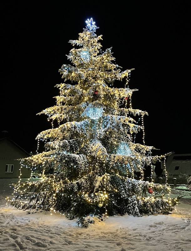 Vánoční strom v Lovečkovicích