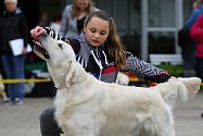 Mezinárodní výstava psů v areálu Zahrady Čech v Litoměřicích