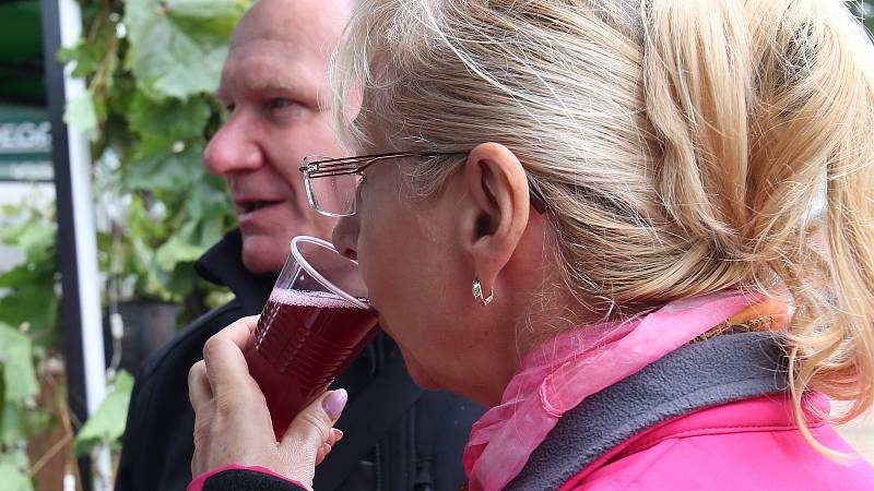 Vinobraní v Roudnici nad Labem.