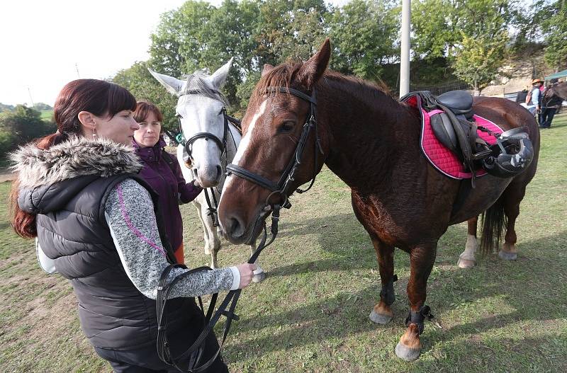 Hubertova jízda v Třebívlicích