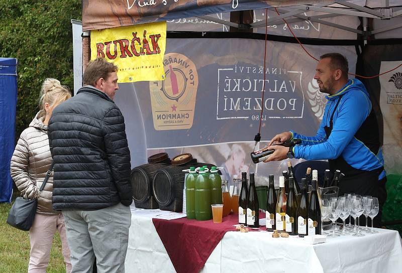 Vinobraní v Roudnici nad Labem, rok 2019