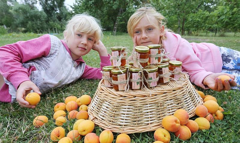 Vaření meruňkové marmelády, která zamíří na letošní Expo do Milána
