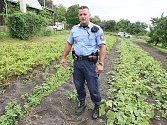 Krádeží zemědělských výpěstků přibývá. Třebenický strážník Tomáš Rotbauer řeší již několik přestupků kdy chytil zloděje přímo při činu jak krade brambory přímo z pole.