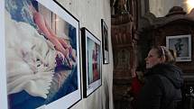 V bývalém jezuitském kostele v Litoměřicích vystavuje třicet především začínajících fotografů. K vidění je 90 snímků. 
