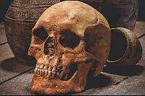 Výsledky archeologického výzkumu u Mlékojed budou od čtvrtka k vidění v Podřipském muzeu v Roudnici nad Labem na výstavě s názvem Smrtí to nekončí, aneb 1000 let spali ve stínu Radobýlu.