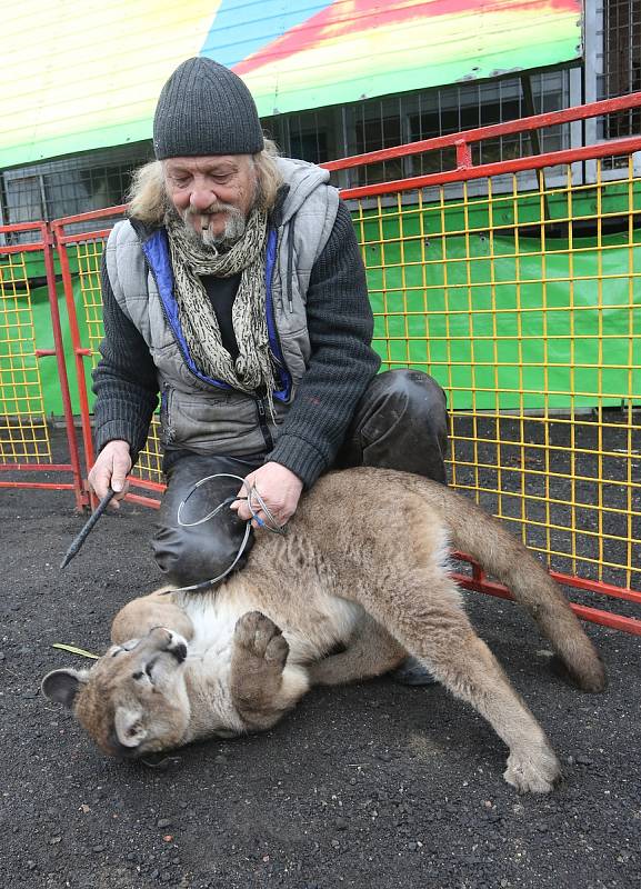 Do Litoměřic zavítal cirkus Jo - Joo.