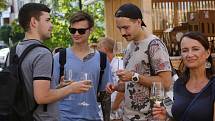 V sobotu proběhlo Roudnické vinobraní, první na severu Čech.