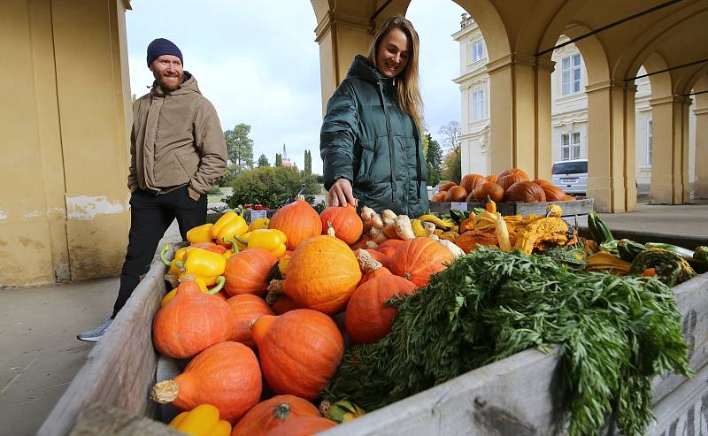 V sobotu proběhl podzimní trh na zámku v Ploskovicích.