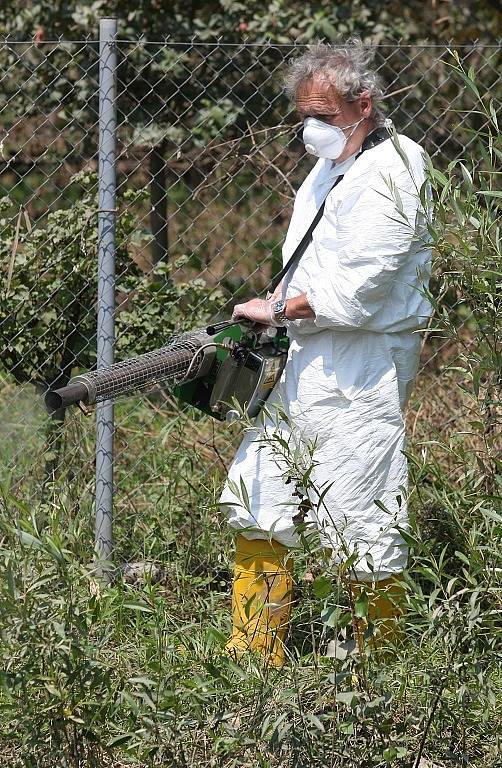 CHEMIE. Pracovníci dezinsekční a deratizační firmy likvidují larvy i vylíhnuté komáry v Bohušovicích. V terénu nyní budou každý den, pokud to počasí dovolí.