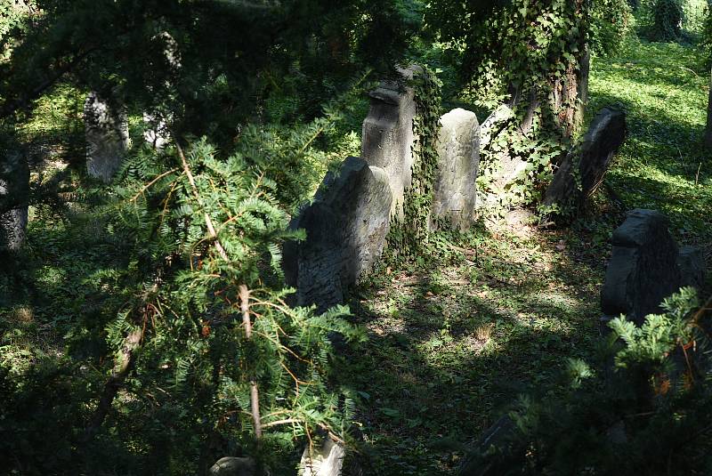 Den Židovských památek v Roudnici zpřístupní unikátní hřbitov