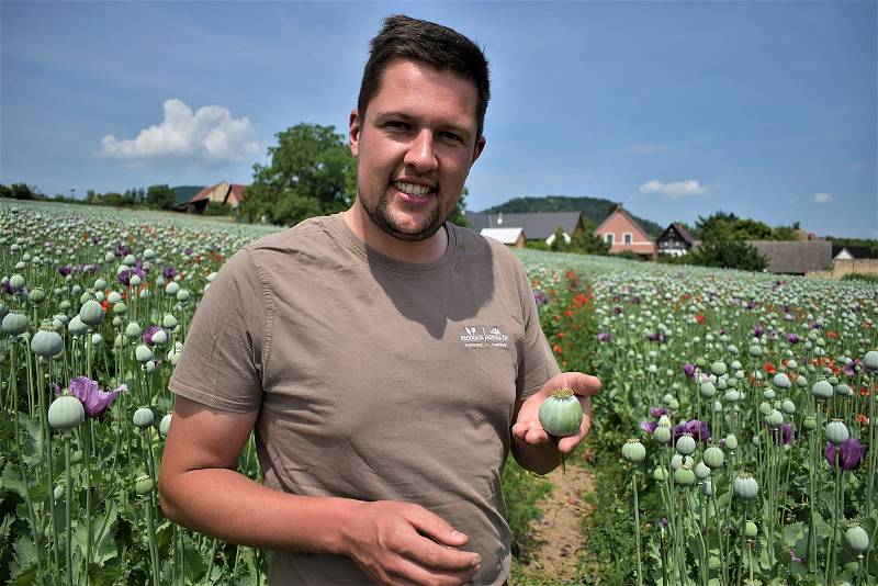 Němec Niklas Klingebiel pěstuje mák na Litoměřicku