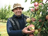 Ovocnář Miloslav Jelínek z Těchobuzic má radost z letošní úrody jablek.