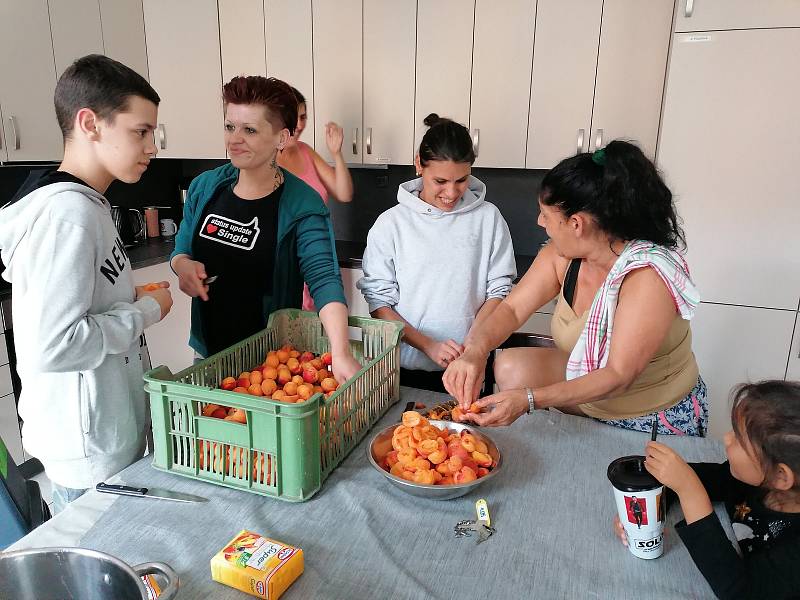 Lidé z lovosického azylového domu dělali marmeládu
