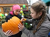 Děti ze škol a školek si mohou z dýní udělat na halloween smrtku.