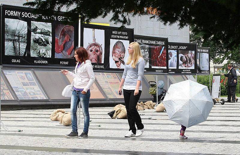 Transparenty s fotografiemi dětí zmasakrovaných při potratech v Litoměřicích. 