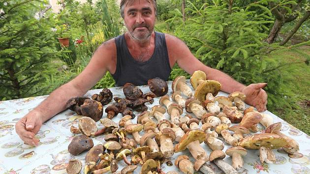 Dalším pěkným houbařským úlovkem se pochlubil čtenářům Deníku Josef Stárek z Liběšic. 