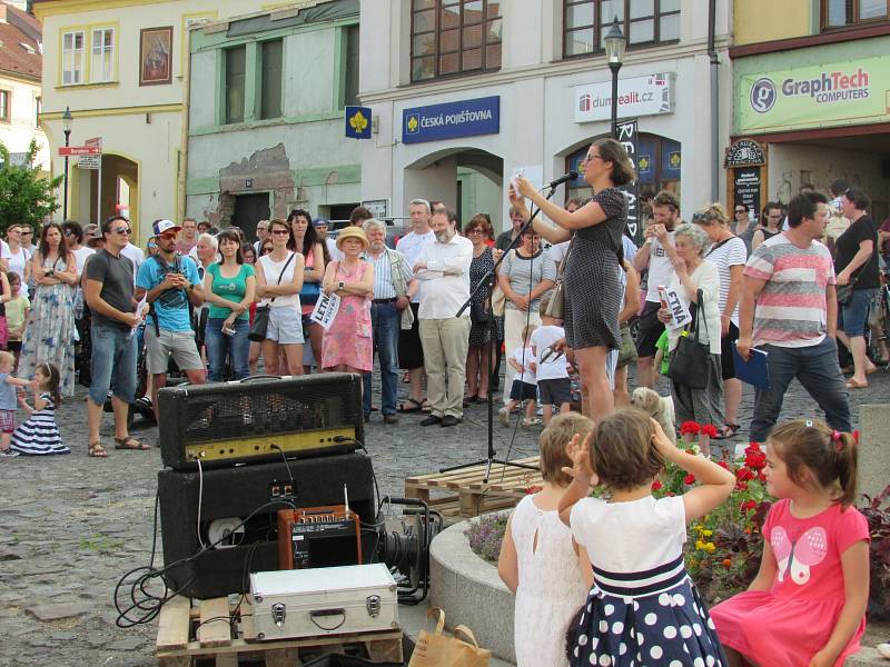 Demonstrace v Roudnici nad Labem, 11. června 2019