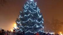 Vánoční strom v Litoměřicích