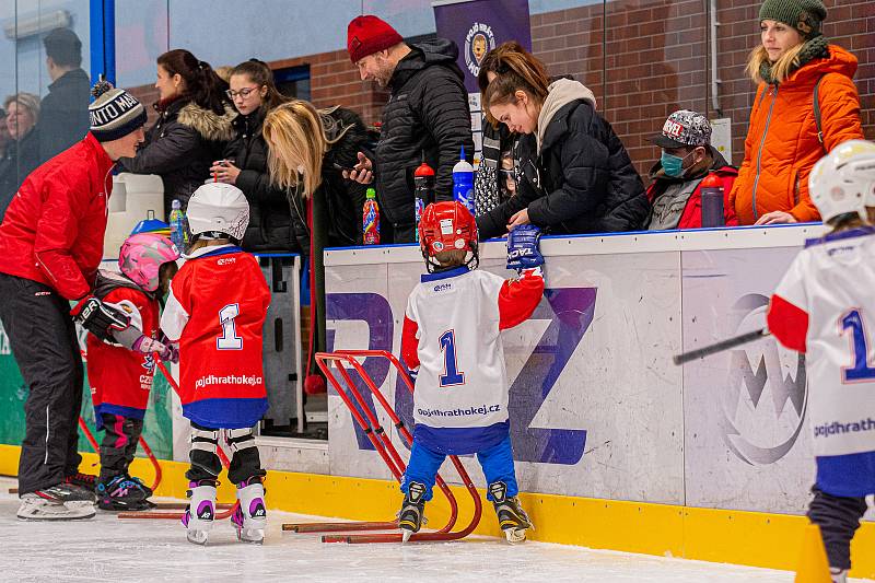 Pojď hrát hokej Litoměřice, Týden hokeje 2022.