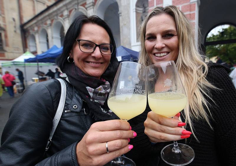 Vinobraní v Roudnici nad Labem, rok 2019