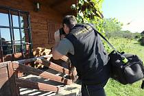 Policisté dopadli vykradače chat na Třebenicku