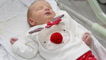 PRVNÍ miminka se v Podřipské nemocnici v Roudnici nad Labem narodila maminkám Haně Gutové a Truong Thi Nha Phuong 