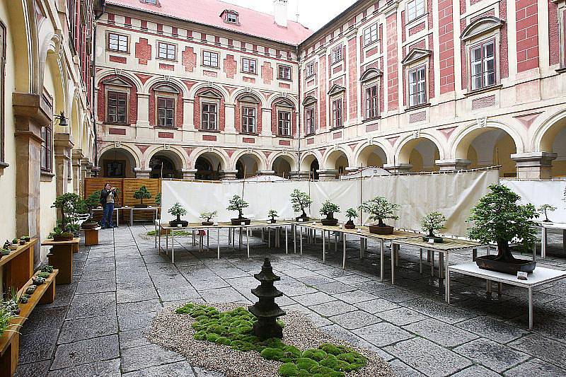 Výstava bonsají na zámku v Libochovicích