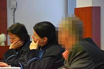 Muže z Litoměřicka odsoudili v Ústí za znásilnění nevlastní dcery.