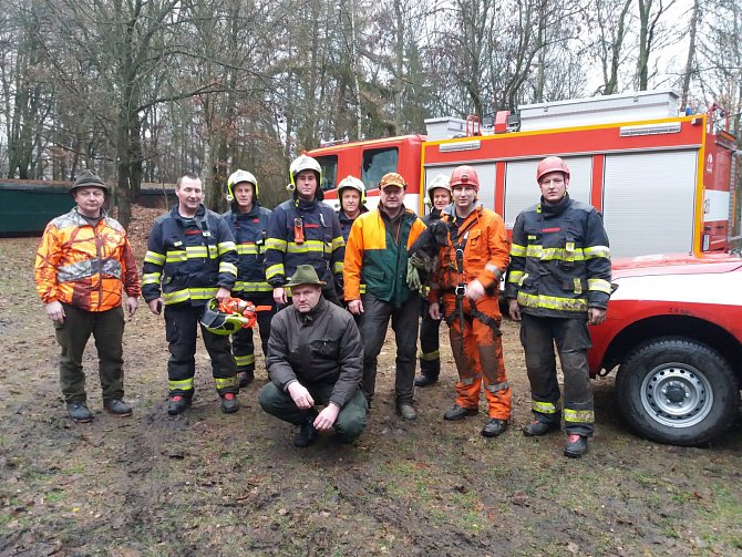 Lovosickým hasičům se podařilo zachránit fenku, která spadla do skalní praskliny.