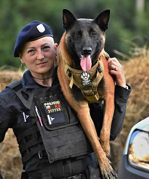 Policejní pes Anso "František" Sharpend odchází na odpočinek.