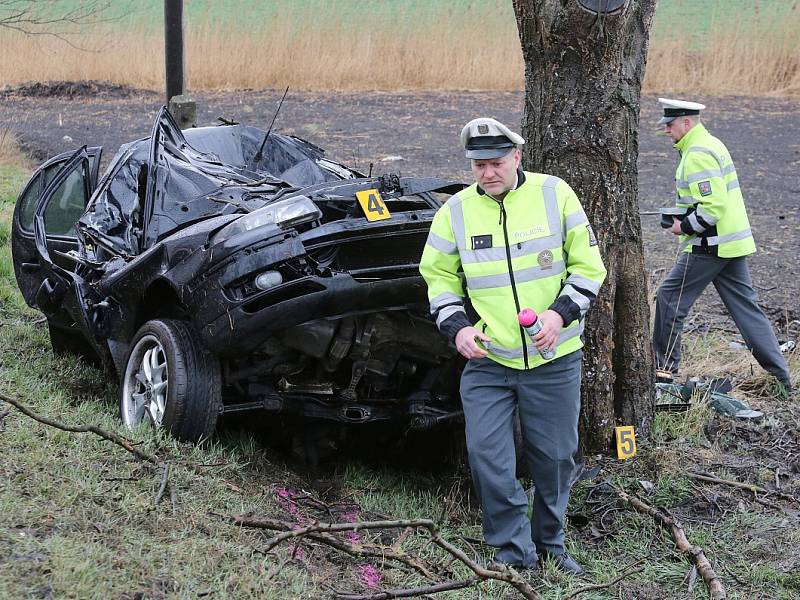 Smrtelná nehoda mezi Siřejovicemi a Vrbičany