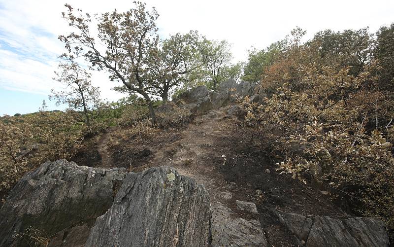 V Litochovicích nad Labem hasiči stále nezkrotili plameny. Ani po čtyřech dnech nedal oheň pokoj a tak hasiči několikrát denně vyjíždějí a hasí ohniska hluboko ve skalách.