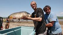 Ryby, které zůstaly v lagunách v okolí Mlékojed a Prosmyk, chytal v pátek také známý rybář Jakub Vágner. V posledních dnech se do jejich záchrany zapojili rybáři z celé země.