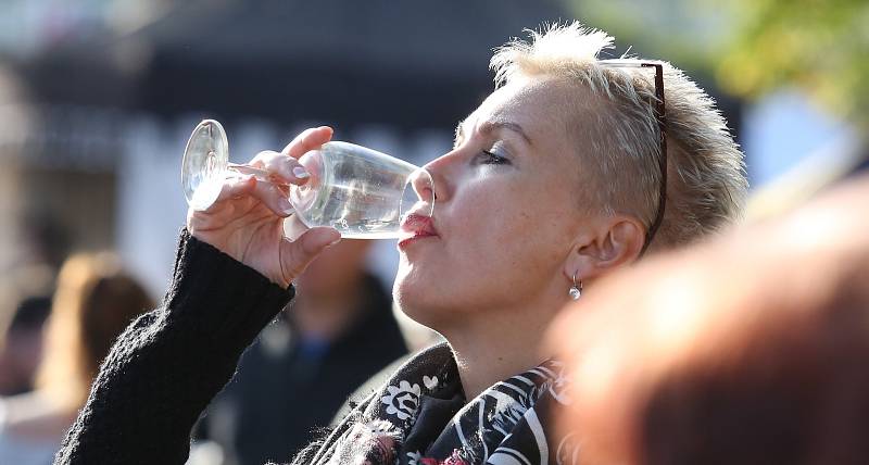 V pátek začalo tradiční vinobraní v Litoměřicích, které bude pokračovat v sobotu hlavním programem.