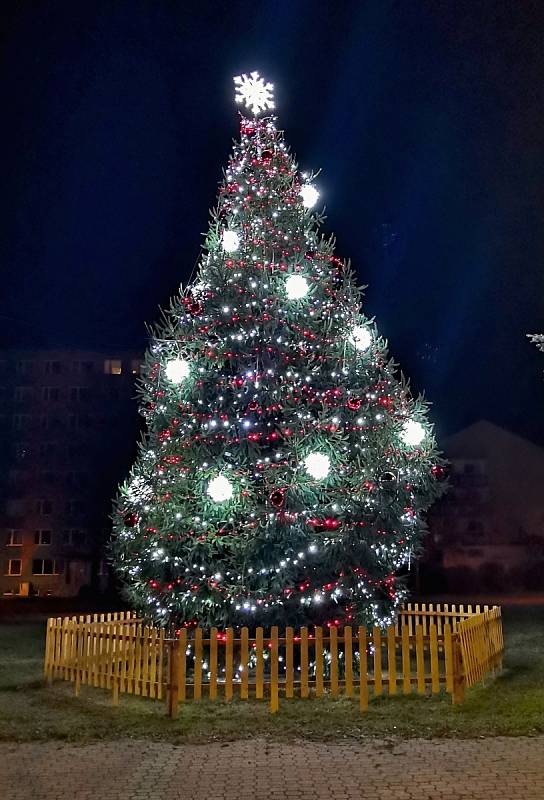 Vánoční strom ve Štětí