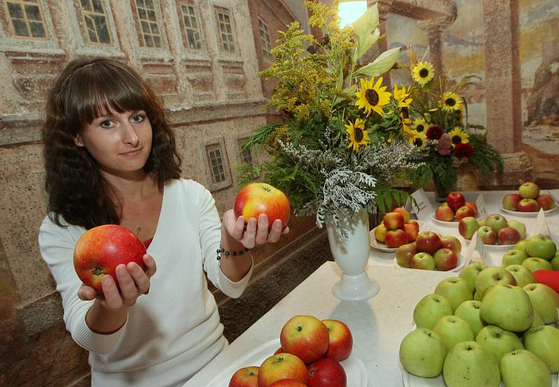 Státní zámek Ploskovice, výstava jablek, 2014