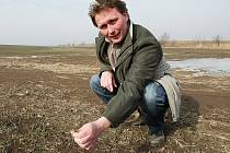 OBILÍ NIČÍ MRAZY.   Agronom ZD Klapý Pavel Vodenka ukazuje pomrzlé rostliny na polích u Klapého.  