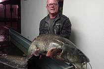Sumec, kterého chytl rybář v Brozanech na Litoměřicku, měřil 215 centimetrů. 