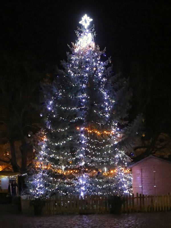 Vánoční strom v Litoměřicích