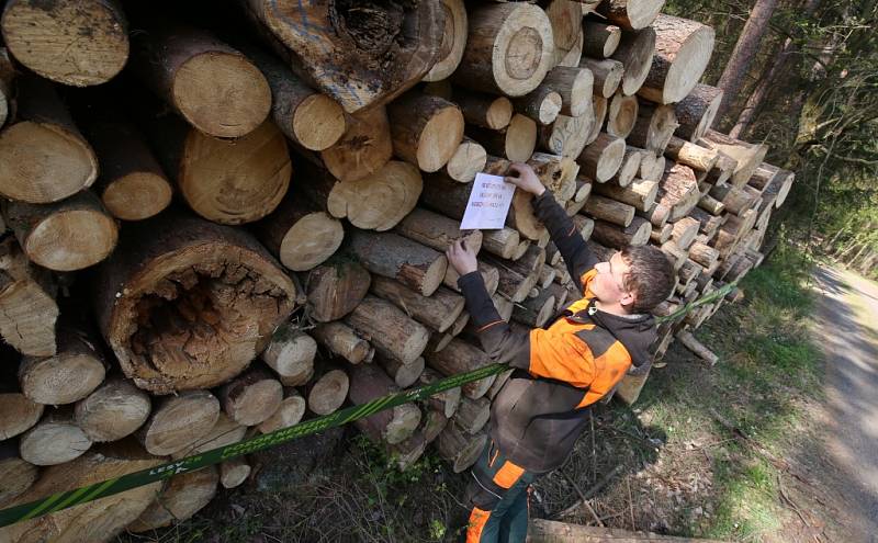 Deponie dřeva lesní hospodáři Lesů ČR ošetřují postřikem proti kůrovci a proto umisťují zákazy.