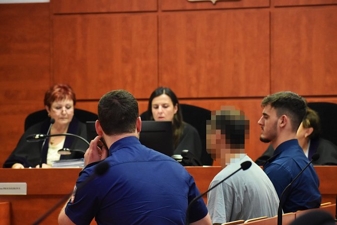 Muž jde do vězení za zneužití nevlastní dcery na Roudnicku, rozhodl soud v Ústí.