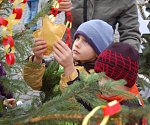 Vánoční trhy v Litoměřicích začaly.
