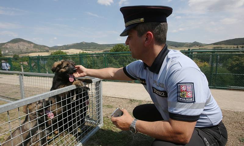 Chovná stanice služebních psů Policie ČR se po pěti letech opět přestěhovala zpět do Prackovic nad Labem.