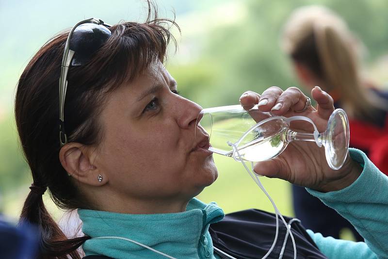 Stovky milovníků vína vyrazily v sobotu odpoledne na tradiční ochutnávku vín místních vinařů okolo řeky Labe.