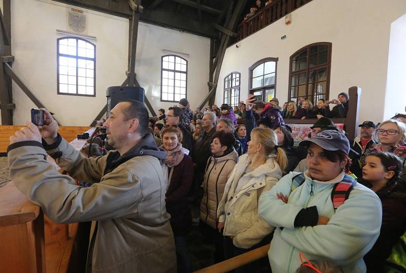 V Terezíně se konal 3. ročník Přehlídky plemenných hřebců 