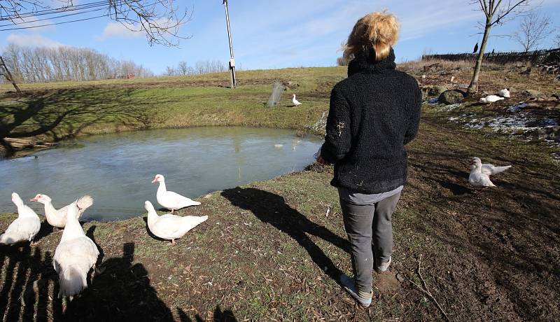 Mukařovská White Light 1, terapeutická komunita, se stará také o ženy alkoholičky a drogově závislé. Jsou zde tři ženy, dvě alkoholičky a třetí drogově závislá.