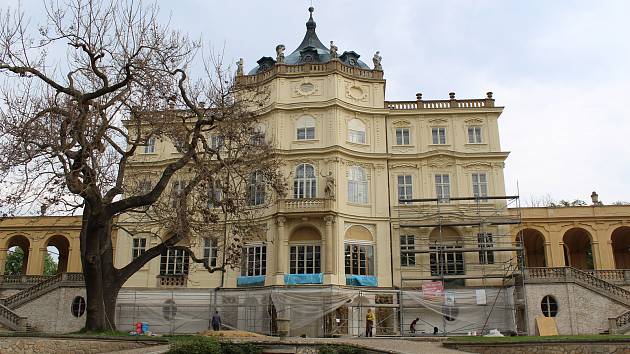 Na zámku v Ploskovicích se postupně dokončuje oprava fasády, oken a dveří na hlavní budově. Jarní rozkvetlý park s pávy láká na romantické procházky.