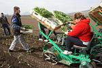 Zemědělci na Litoměřicku mají obavy, že nebudou mít na jarní práce a asi ani na sklizeň brigádníky